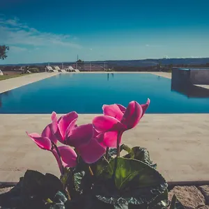 La Mela Di Venere Vakantieboerderij Palazzolo Acreide